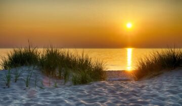 Endless Summer: Five Ways to Enjoy the Season While It Lasts